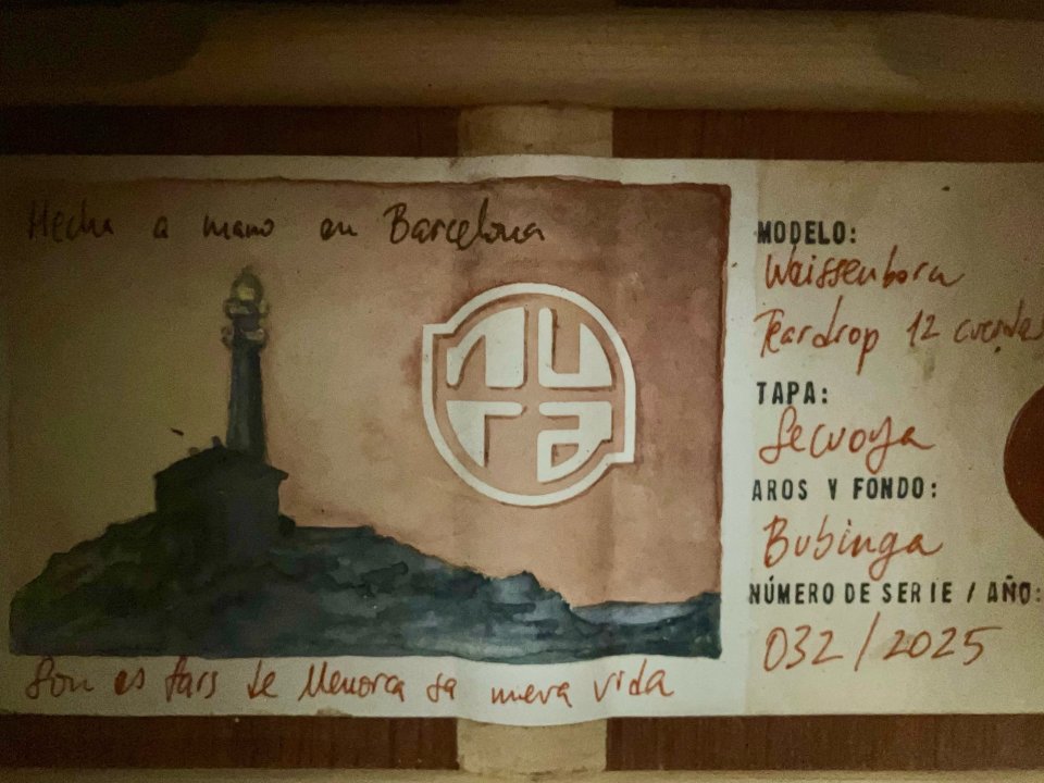 Weissenborn 12 cuerdas nura guitars + estuche