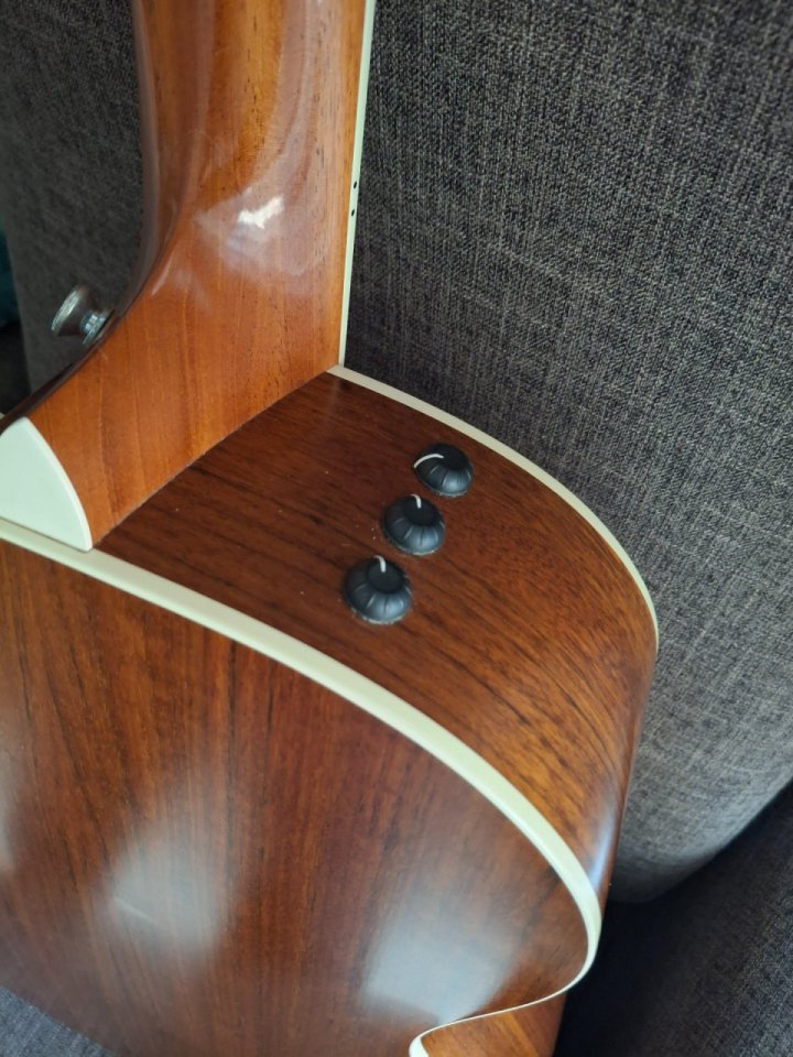 Taylor 414ce-N (nylon) 14 trastes.