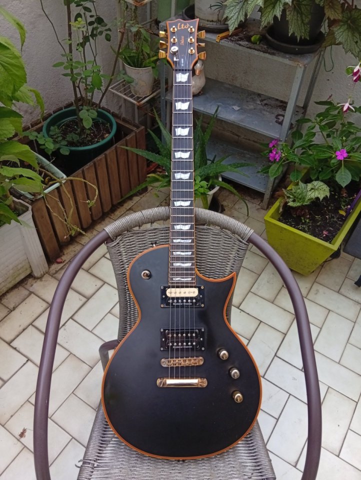 O cambio Ltd ec1000 modificada de segunda mano · Foto 1 de 8 · Bizkaia · 750 €