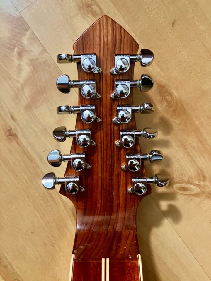 Weissenborn 12 cuerdas nura guitars + estuche