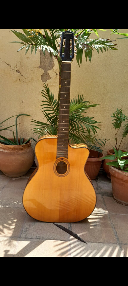 Patenotte Gypsy Jazz Guitar