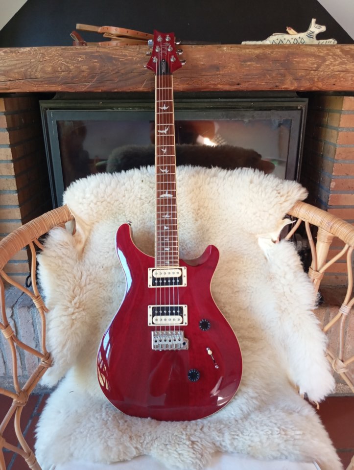 PRS SE Standard de segunda mano · Foto 1 de 10 · Barcelona · 525 €