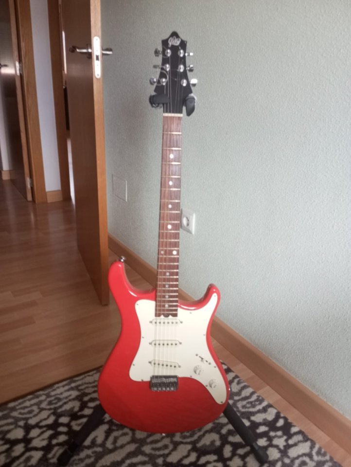 Vendo Strato Gadow Monterrey de luthier de segunda mano · Foto 1 de 5 · Murcia · 1500 €