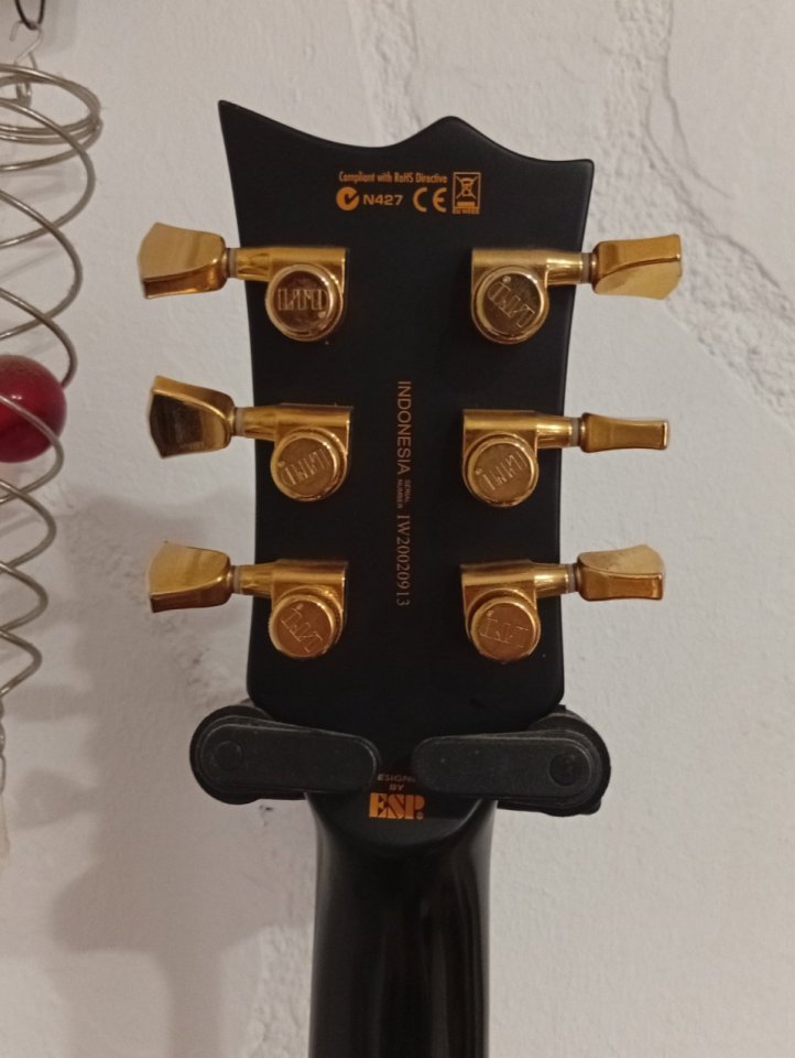 O cambio Ltd ec1000 modificada de segunda mano · Foto 6 de 8 · Bizkaia · 750 €