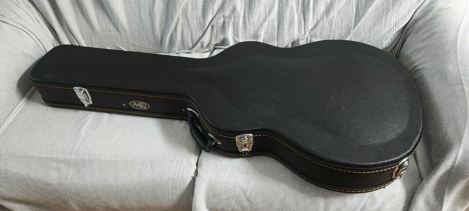 Epiphone riviera frecuencialicer coreana del 2006