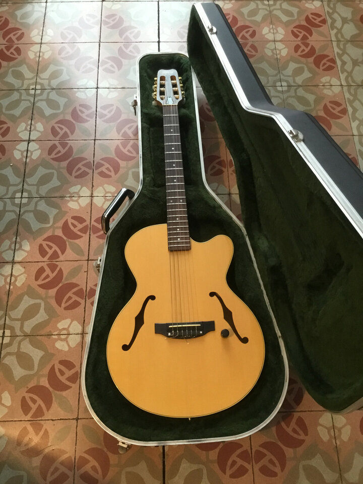 Estuche de guitarra ABS para 339