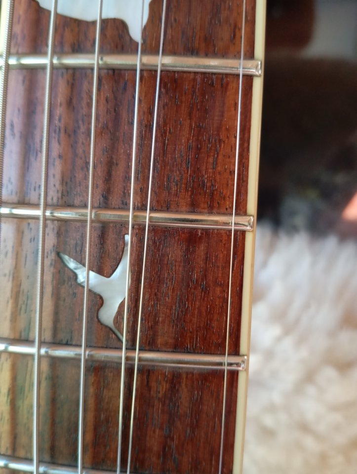 PRS SE Standard de segunda mano · Foto 4 de 10 · Barcelona · 525 €