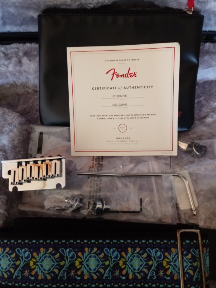 Fender stratocaster American Ultra Cobra Blue