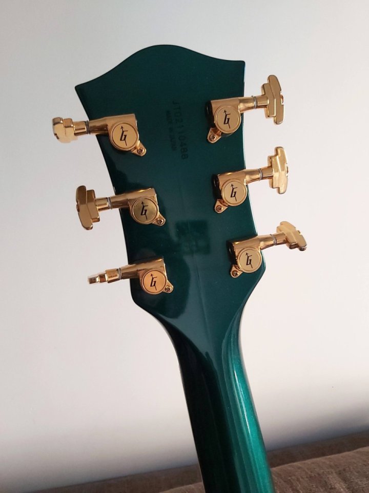 Gretsch Country Club 6196. Dynasonic. Diapason ébano