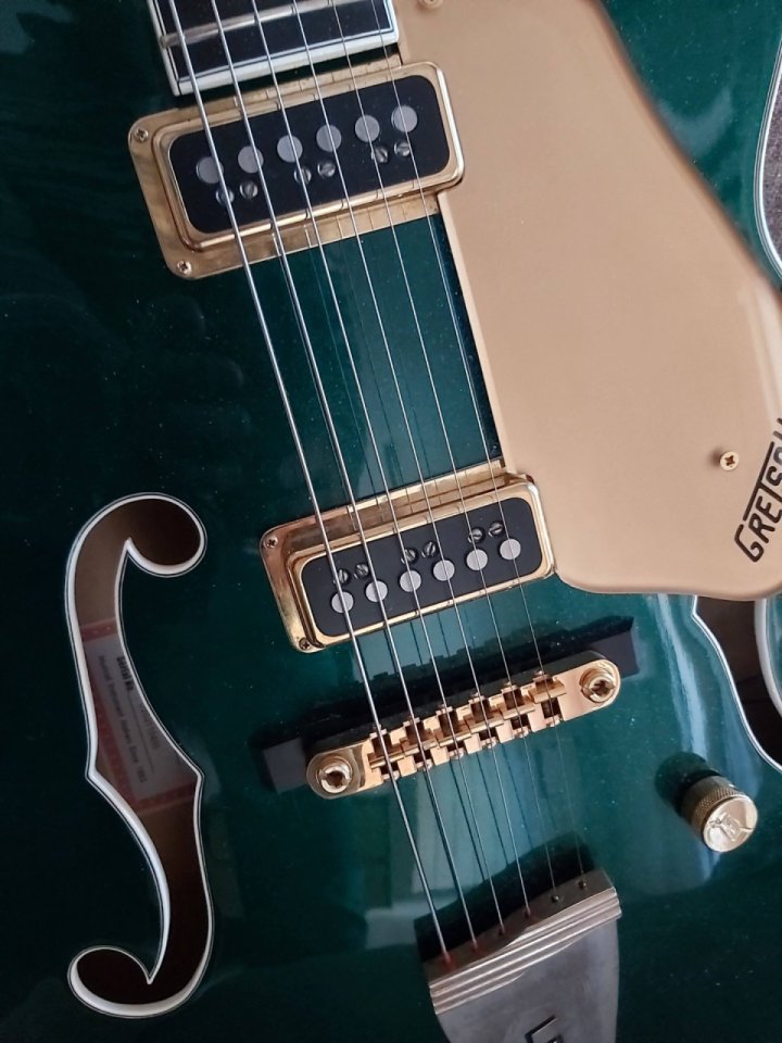 Gretsch Country Club 6196. Dynasonic. Diapason ébano