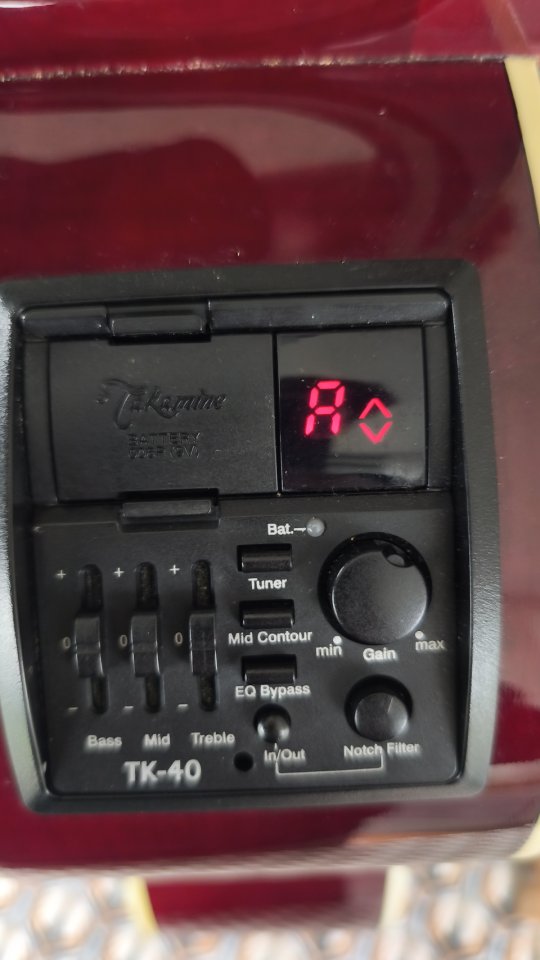 Acústica Takamine 2006 (Korea)