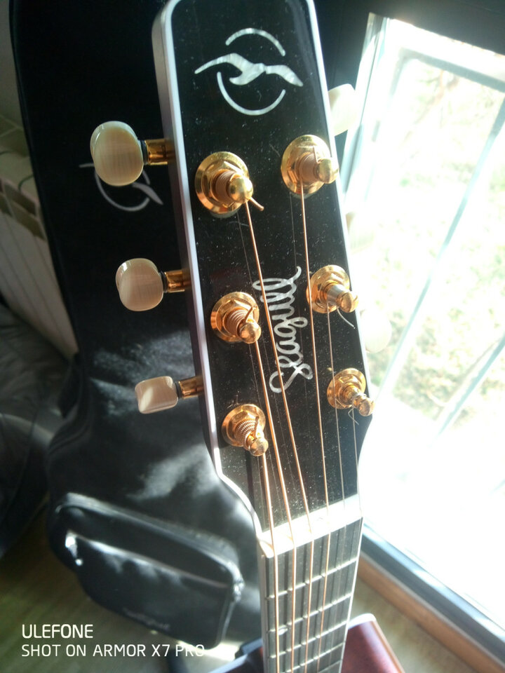 SEAGULL Artist Mosaic CH CW Bourbon Burst EQ