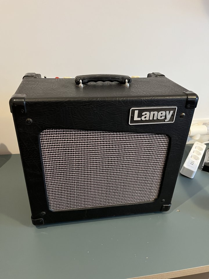 Laney Cub12R