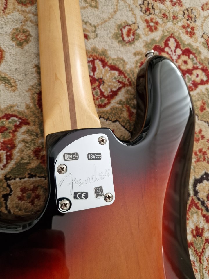 Fender precision deluxe bass