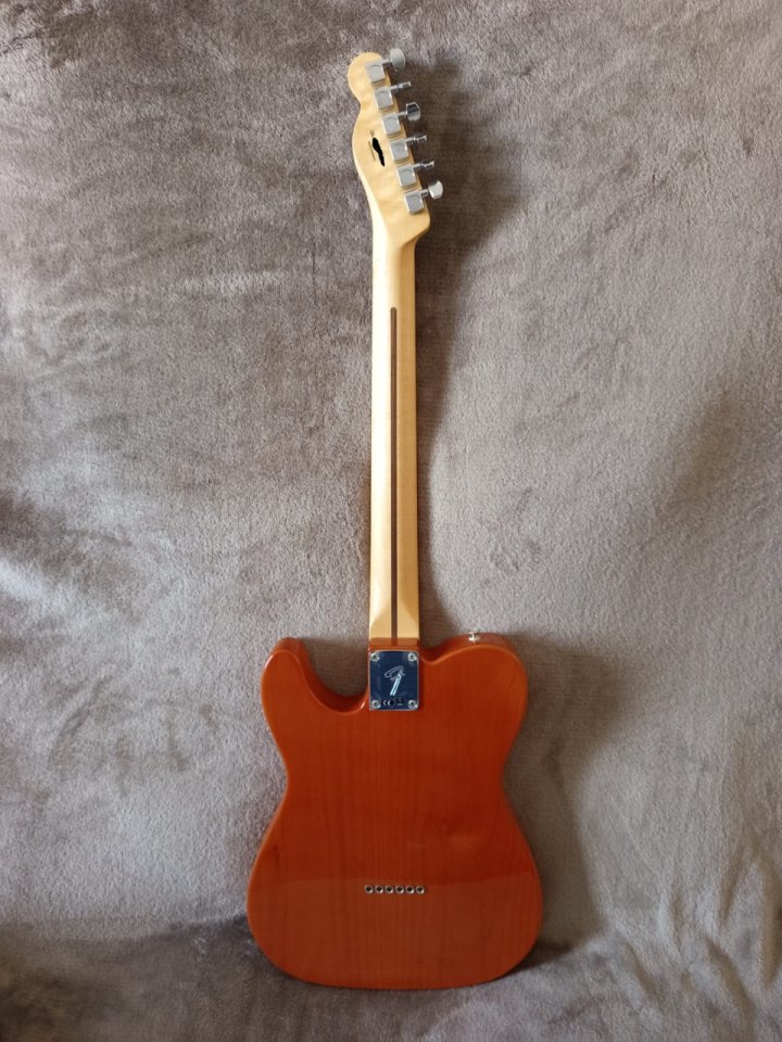 Fender Telecaster Player Series (Special Edition)