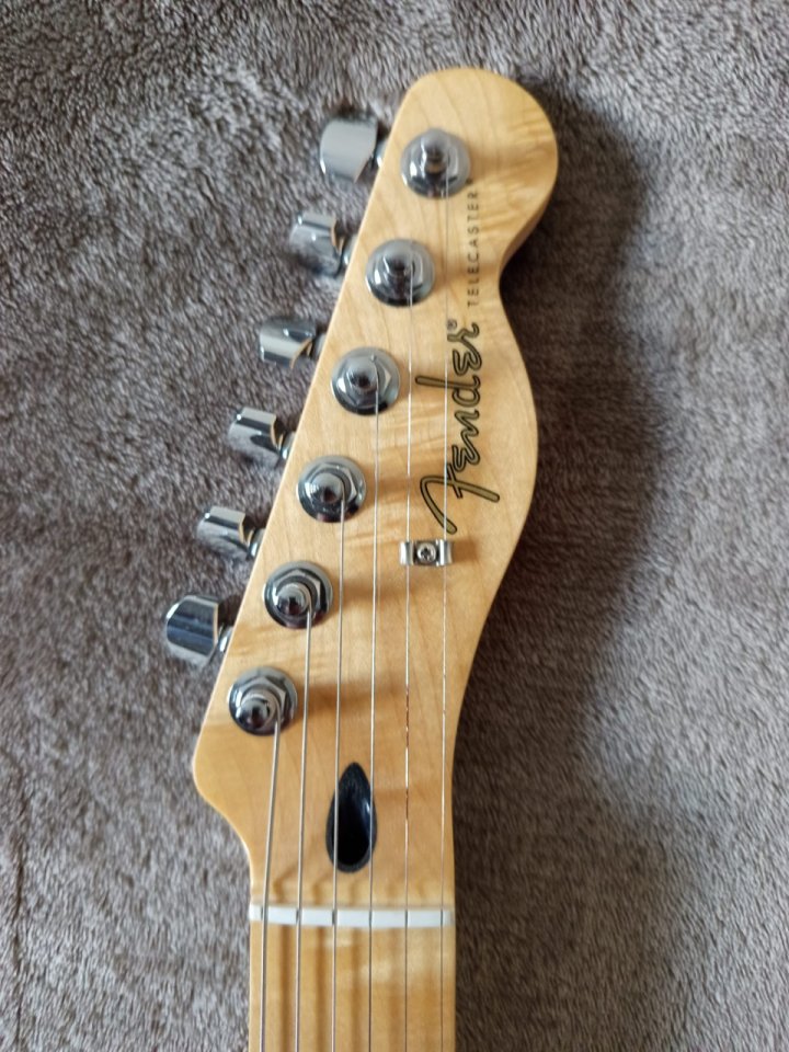 Fender Telecaster Player Series (Special Edition)