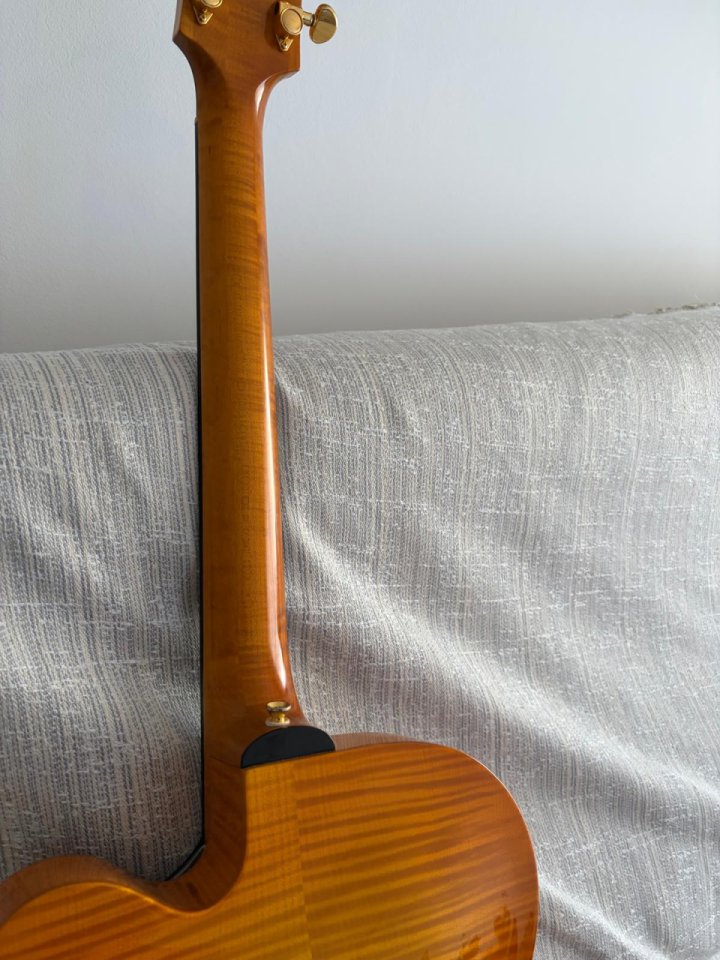 Archtop Jaén Astoria