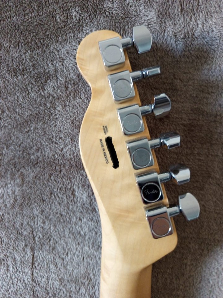 Fender Telecaster Player Series (Special Edition)