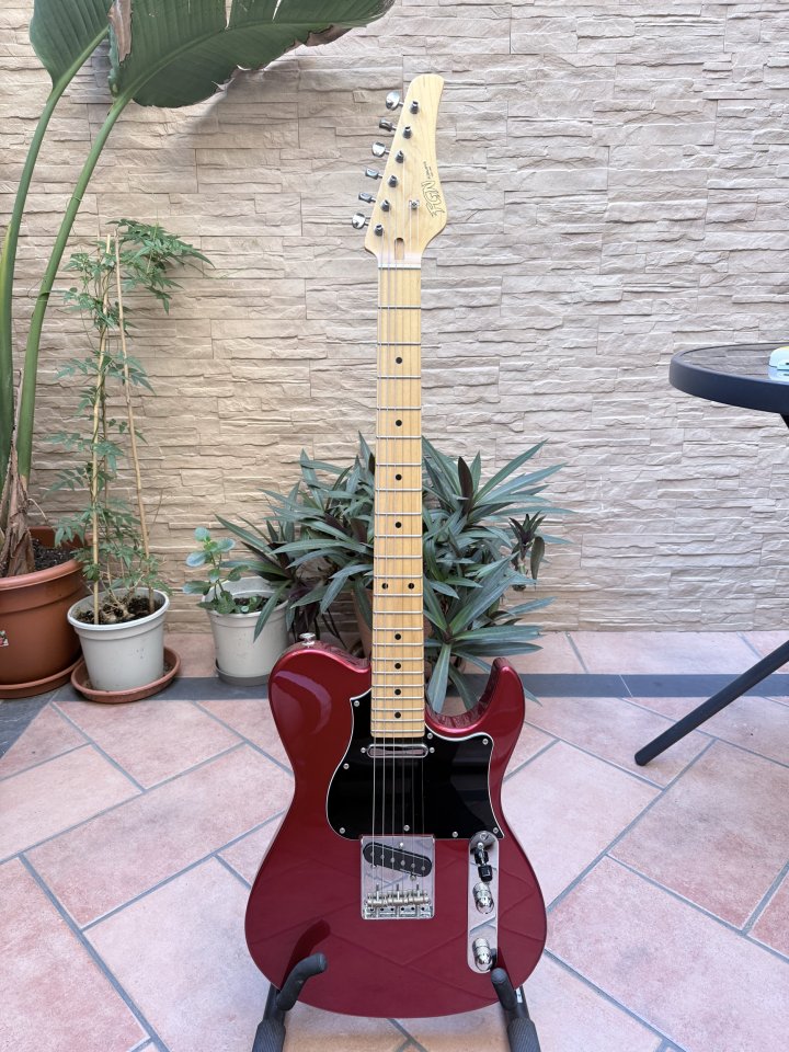 FGN ILIAD J STANDARD Telecaster. Mejoras de segunda mano · Foto 1 de 10 · Sevilla · 750 €