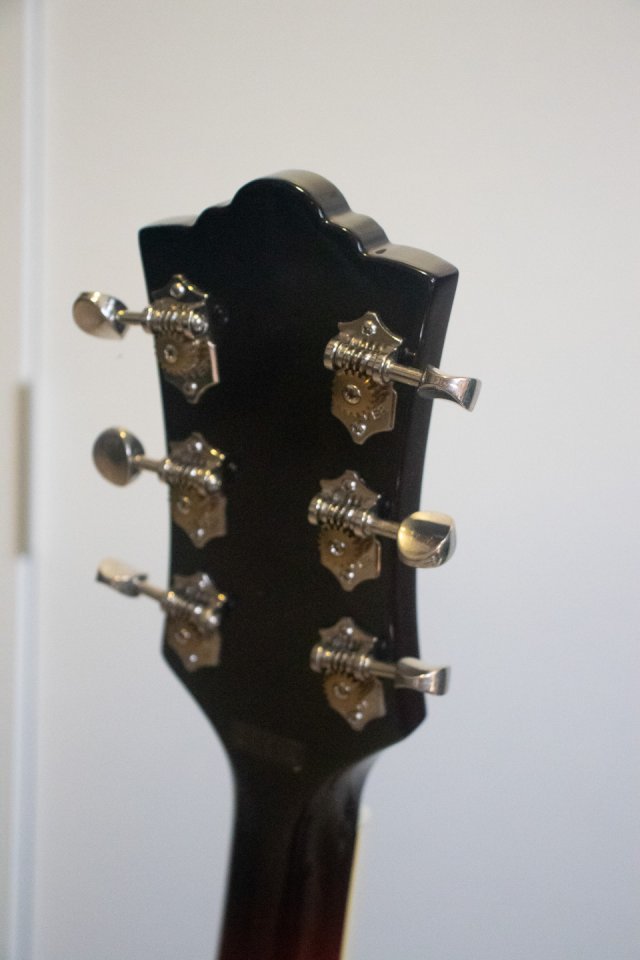 Guild T-50 Slim (Coreana) - como nueva