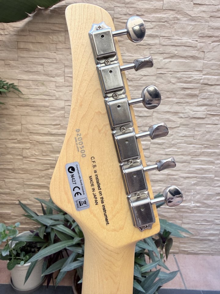 FGN ILIAD J STANDARD Telecaster. Mejoras de segunda mano · Foto 3 de 10 · Sevilla · 750 €