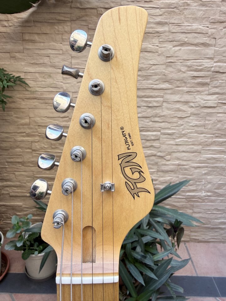 FGN ILIAD J STANDARD Telecaster. Mejoras de segunda mano · Foto 4 de 10 · Sevilla · 750 €