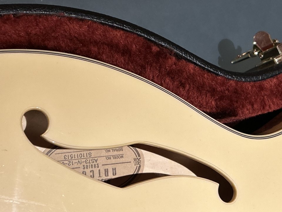 Guitarra Eléctrica Ibanez ARTCORE AS73 IV