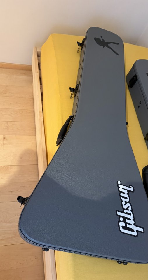 Gibson Dave Mustaine Flying V AN de segunda mano · Foto 6 de 6 · Valencia · 2000 €