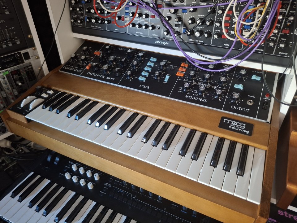 moog minimoog risue