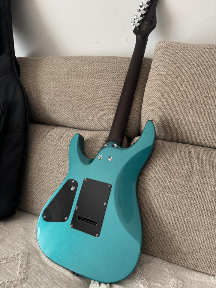 Schecter Aaron Marshall Signature AM-6