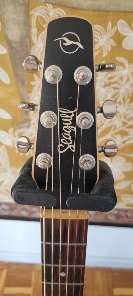 Seagull S6 Original Burnt Umber Presys de segunda mano · Foto 3 de 5 · Valencia · 500 €