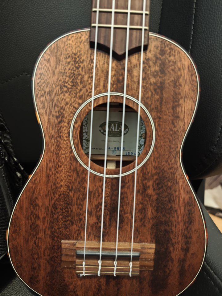 Ukelele Kala ka-smhs con funda