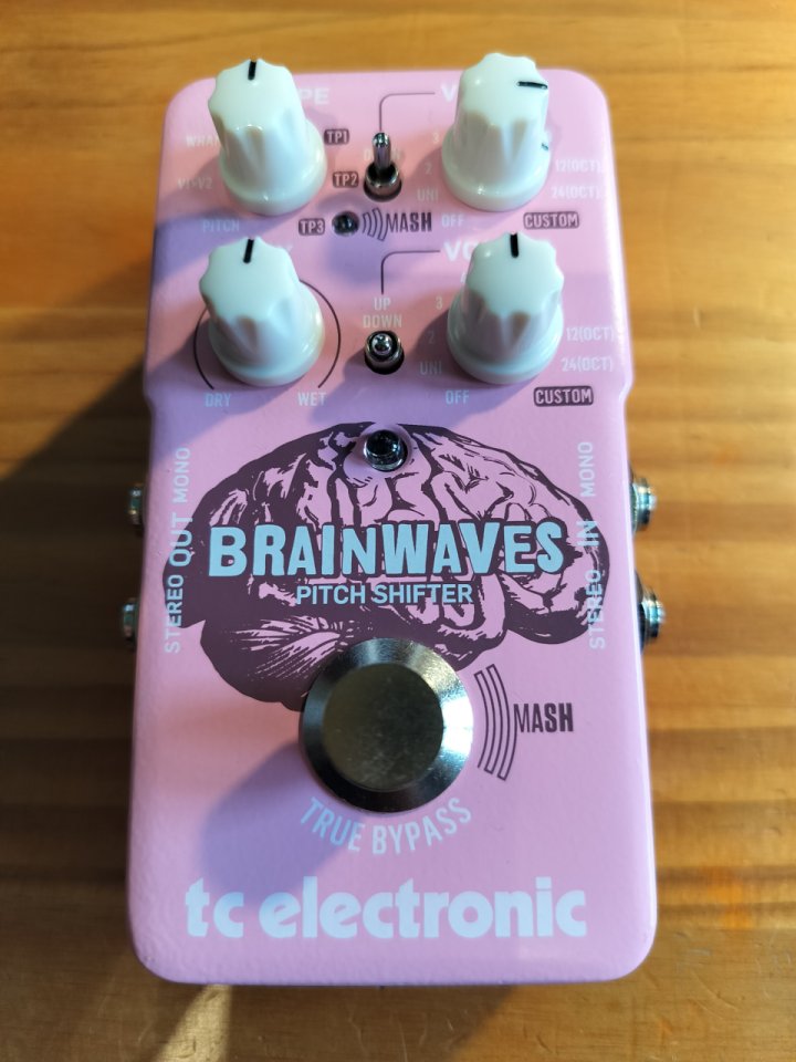 TC Electronic BRAINWAVES Pitch Shifter