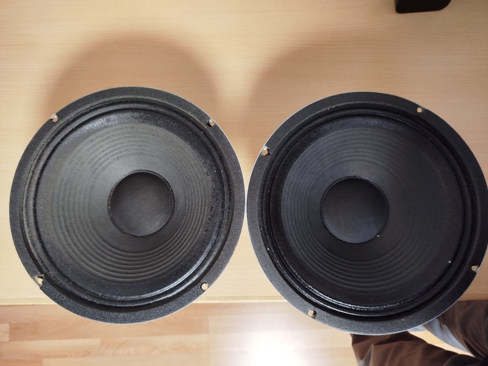 Celestion G12-T75 de segunda mano · Foto 2 de 3 · Barcelona · 70 €