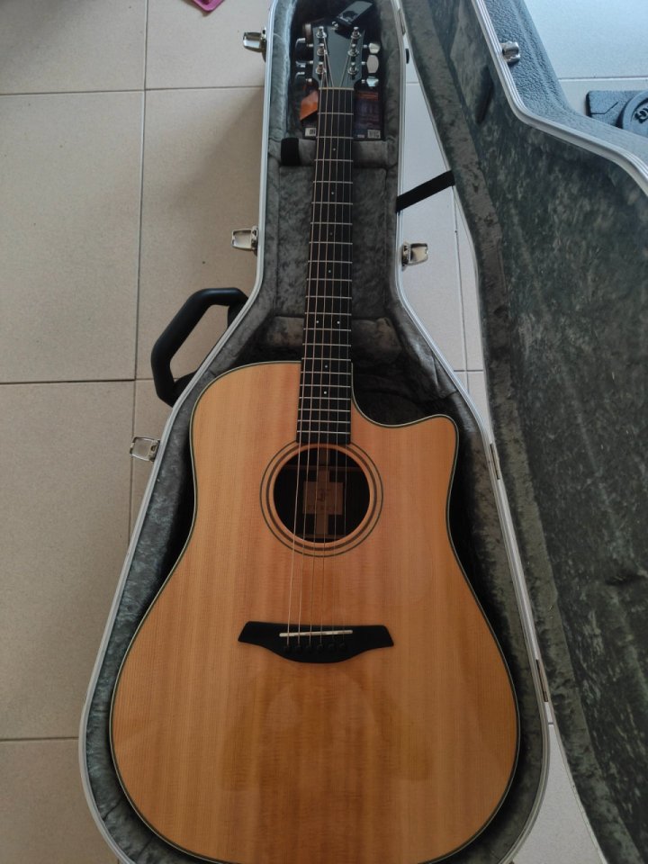 Furch Green DC-SR Master Choice SPE de segunda mano · Foto 1 de 10 · Girona · 1700 €