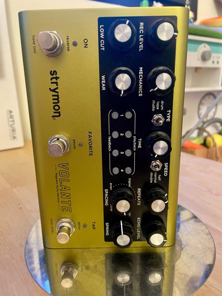 Strymon Volante