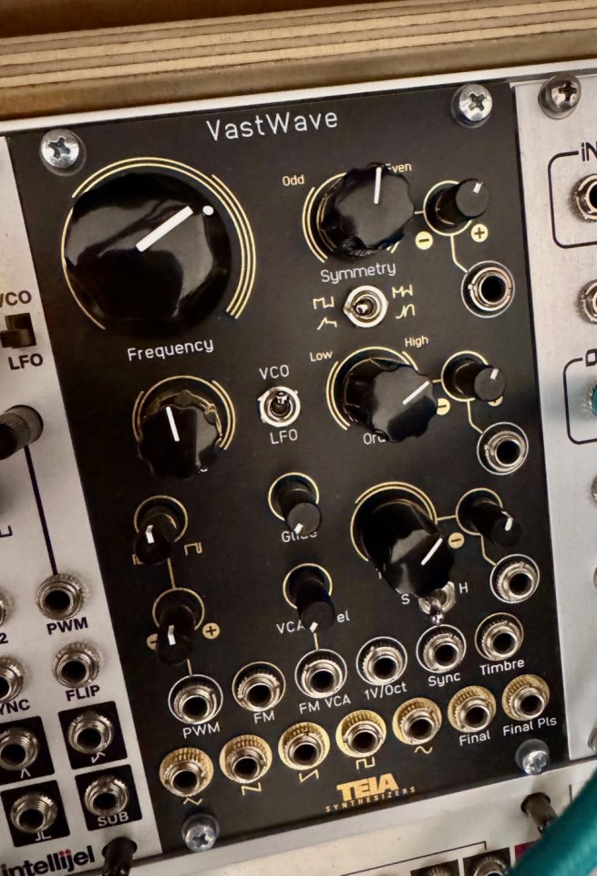 Módulo Eurorack Vast Wave Teia