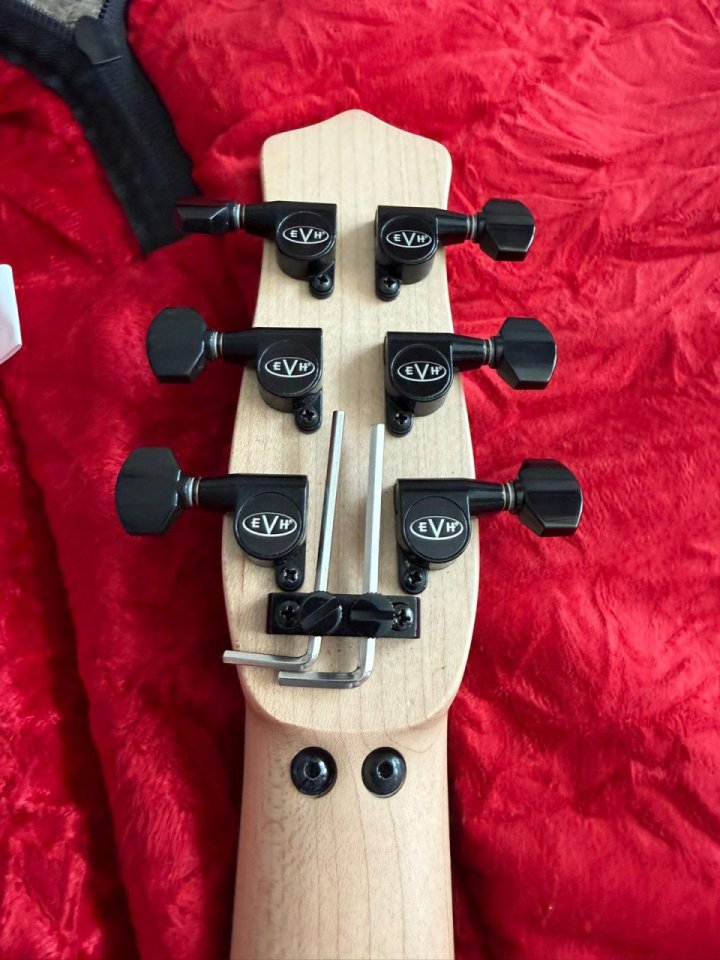 EVH Star Limited Edition de segunda mano · Foto 4 de 6 · A Coruña