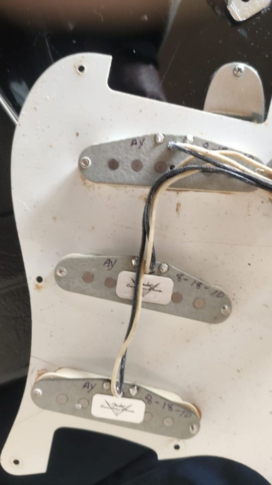 Cambio Fender Squier JV 57 de 1983 - Abigail Ybarra