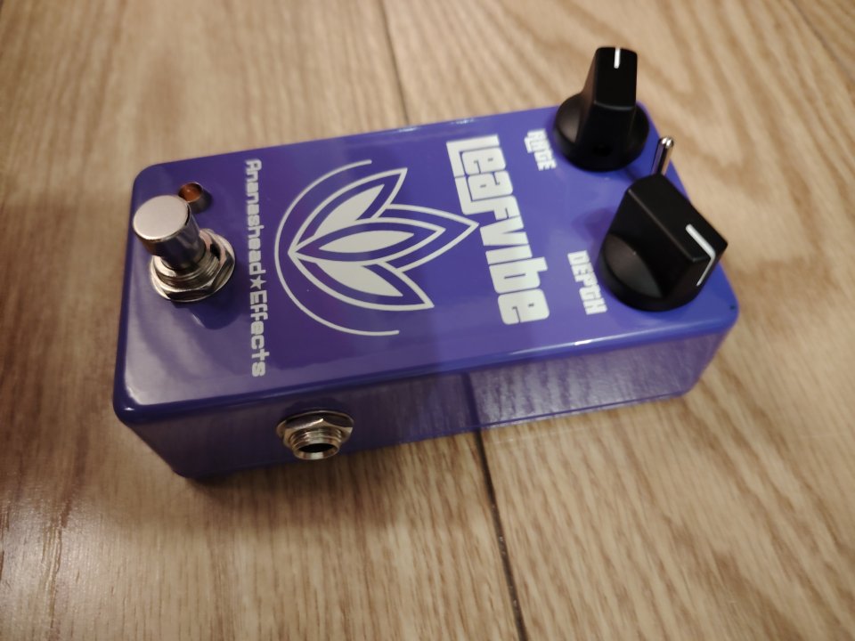 Ananashead Leaf Vibe de segunda mano · Foto 3 de 4 · A Coruña · 110 €