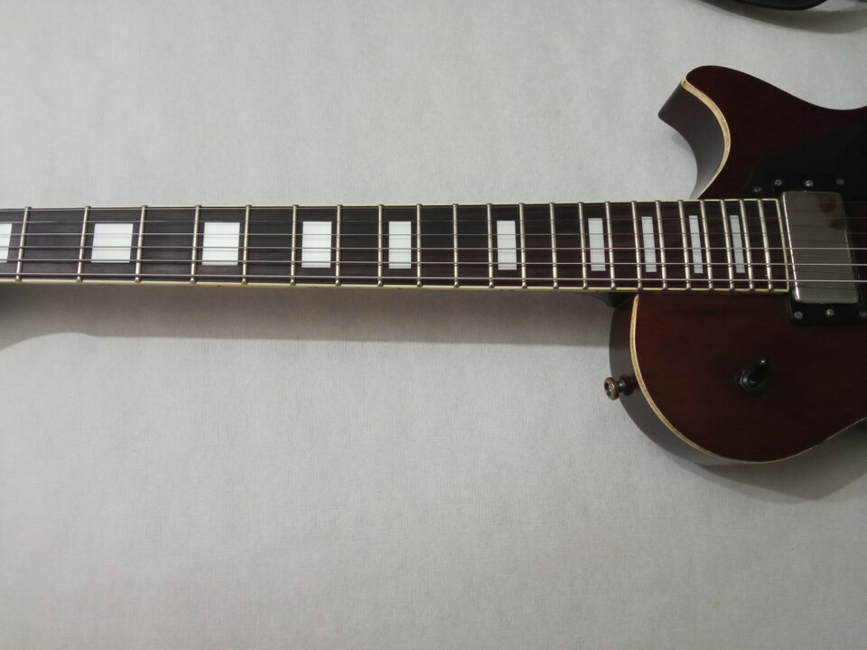 Les Paul AXL Badwater con EMG