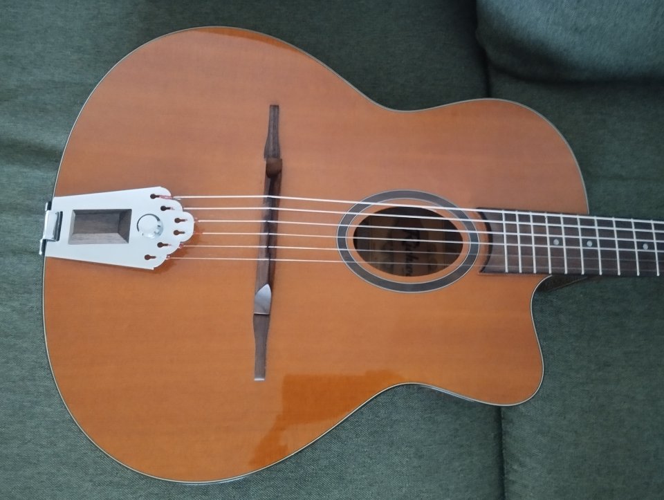 Guitarra manouche Richwood RM-70 NT