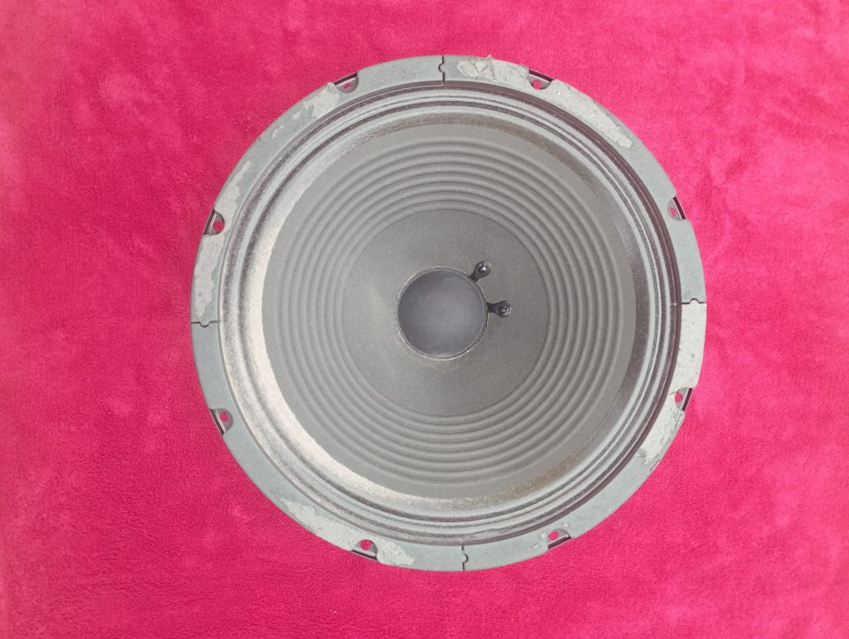 Altavoz Blackstar 50W de 16 ohmios y 12"