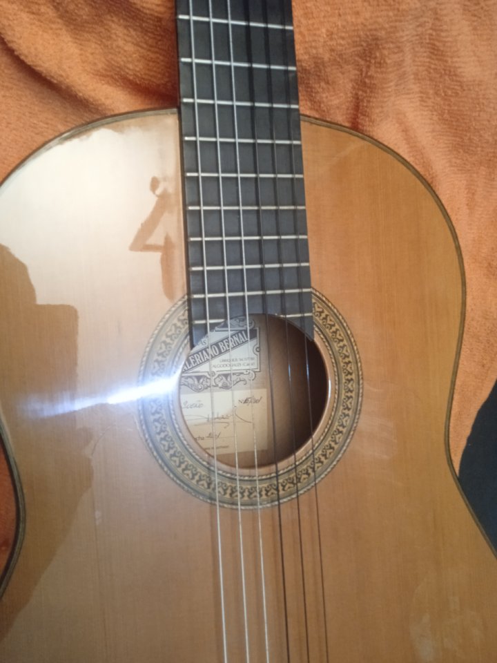 Flamenca Valeriano Bernal modelo"sueño" 2001