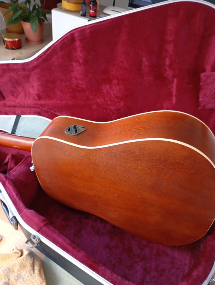 Guitarra seagull S12 electroacustica