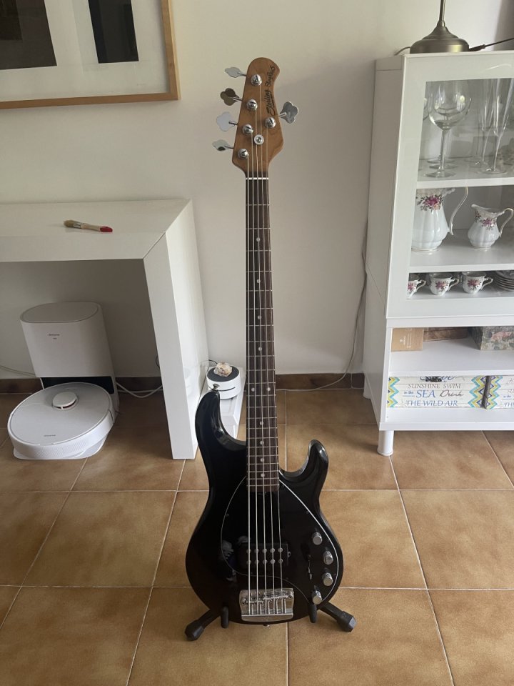 Sterling by Musicman Stingray 5