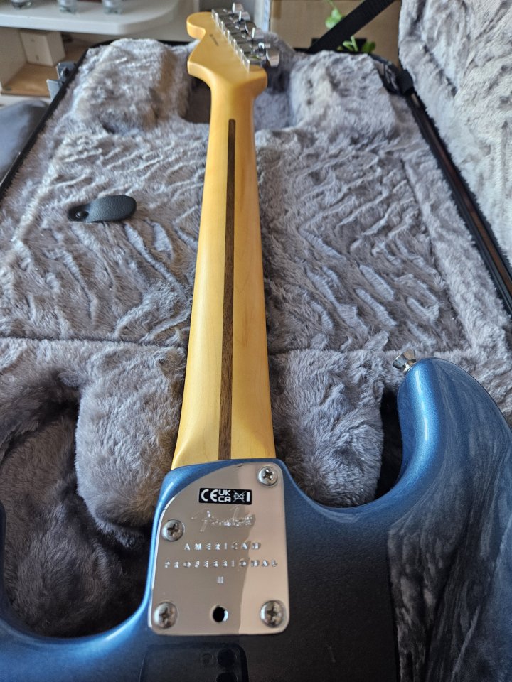 Fender Stratocaster Am Pro II HSS (CAMBIOS dentro)