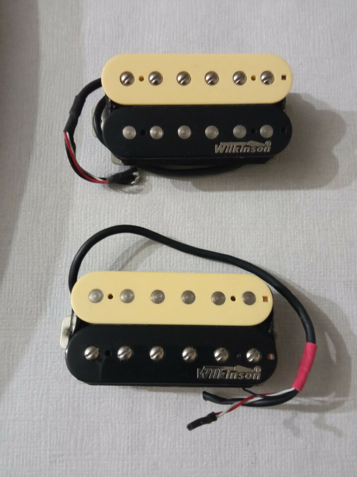 Les Paul AXL Badwater con EMG