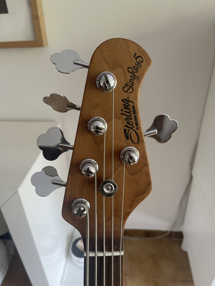 Sterling by Musicman Stingray 5