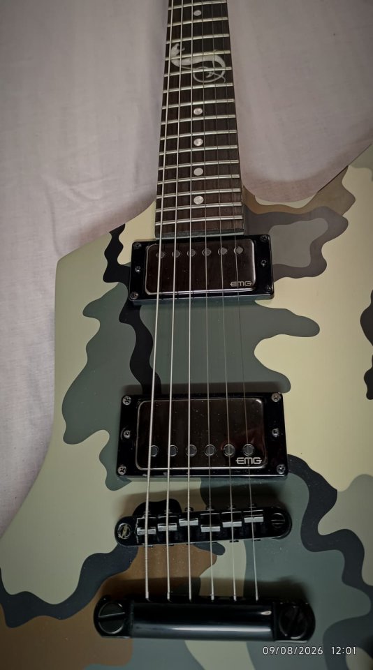 LTD Snakebyte camo de segunda mano · Foto 2 de 8 · Barcelona · 1600 €